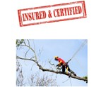 insured_certified_arborists.jpg