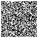 QR code with Promotion Solutions contacts