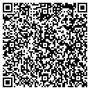 QR code with Colorcraft Painting contacts