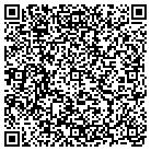 QR code with Blousey Brown Interiors contacts