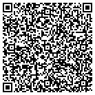 QR code with Blue Sky Tours Inc contacts