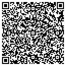QR code with Cynthia R Pfeffer contacts