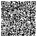 QR code with Dwm Inc contacts