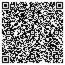 QR code with Cyber Consulting Inc contacts