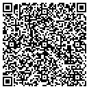 QR code with Professional Handyman Inc contacts