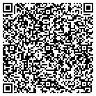 QR code with Public Insurance Brokers contacts