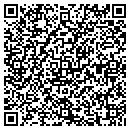 QR code with Public School 308 contacts