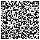 QR code with Catalysis Consulting contacts