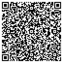 QR code with Premier Bowl contacts