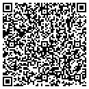 QR code with Blaho Insurance contacts