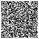 QR code with Terrys Tires contacts