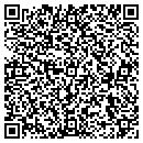 QR code with Chester Telephone Co contacts