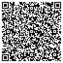 QR code with Pupil Services contacts