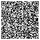 QR code with Productive Group Inc contacts