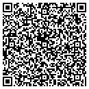 QR code with Pyramid Pictures contacts