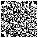 QR code with Castroville Cleaners contacts