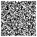 QR code with Progressive Insights contacts