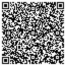 QR code with Puzzys Auto Mart contacts