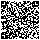 QR code with Castillos Landscaping contacts