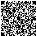 QR code with Precise Construction contacts