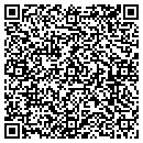 QR code with Baseball Institute contacts
