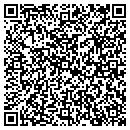QR code with Colmax Security Inc contacts