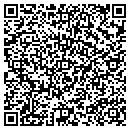 QR code with Pzi International contacts