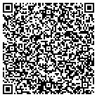 QR code with Blaney Landscape Inc contacts