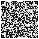 QR code with Consulting Institute contacts