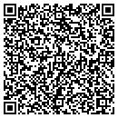 QR code with Premier Auto Group contacts