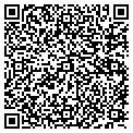QR code with D Light contacts