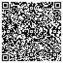 QR code with Pyramid Car Stereo contacts