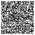 QR code with IMGWRS contacts