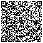 QR code with Badger Auto Supply Inc contacts