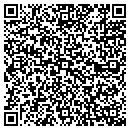QR code with Pyramid Finance Ltd contacts