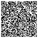 QR code with Profound Effects Inc contacts