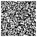 QR code with Pub On Wisconsin contacts