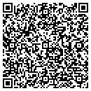 QR code with Progessive Travel contacts