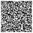 QR code with Bizzidot contacts