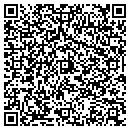 QR code with Pt Automotive contacts