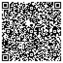 QR code with Pure Choice Sales Inc contacts