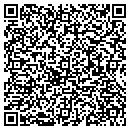 QR code with pro detox contacts