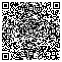 QR code with Island Windows contacts