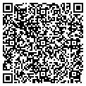 QR code with A1 Limo contacts