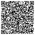 QR code with D Sign contacts