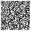 QR code with Desoto Cab CO contacts