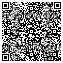 QR code with Pyramid Framing Inc contacts