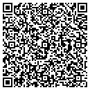 QR code with Bluenovo Inc contacts