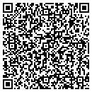 QR code with City Carpet Service contacts
