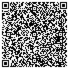 QR code with Blue Water Ventures Inc contacts